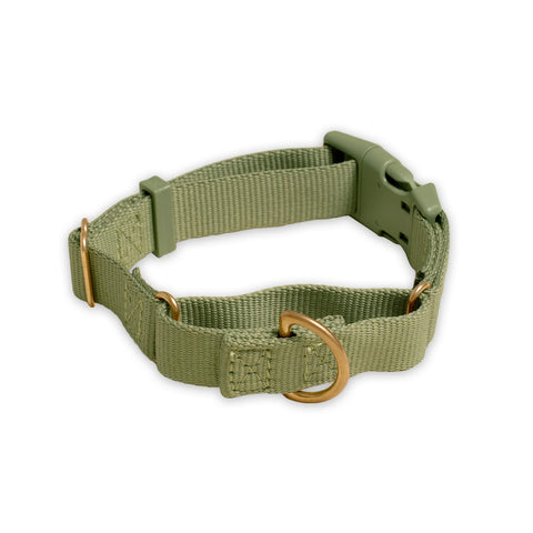 Marty Collar