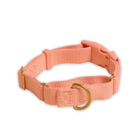 Marty Collar