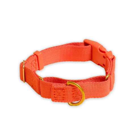 Marty Collar