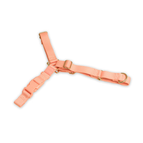 Roam Harness