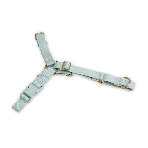 Roam Harness