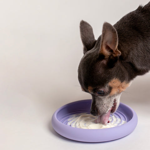 Lick Dish Slow Feeder