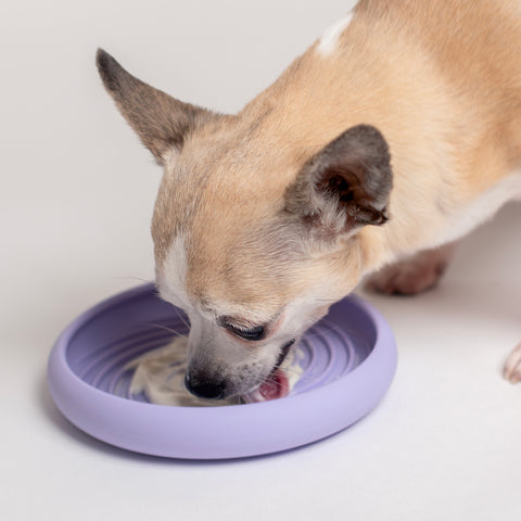 Lick Dish Slow Feeder