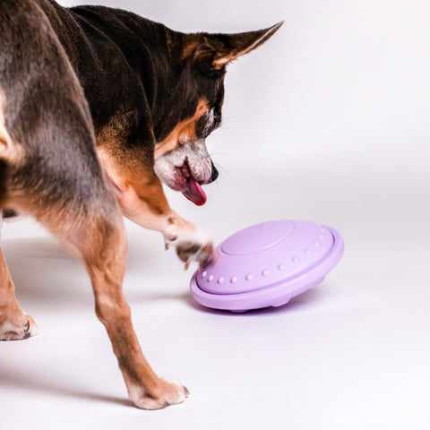 Flying Saucer Toy