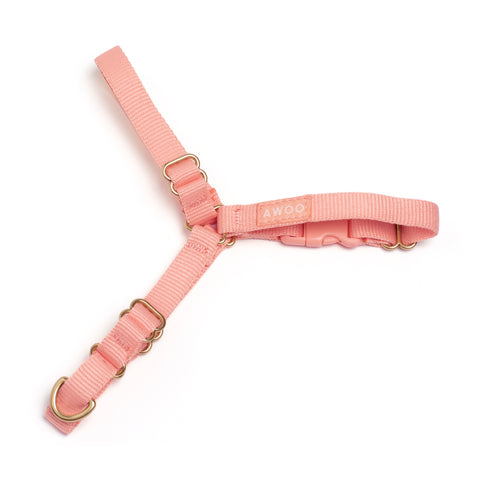 Roam Harness
