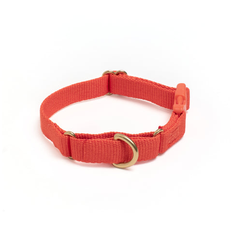 Marty Collar