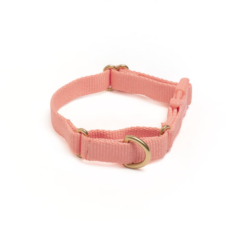 Marty Collar