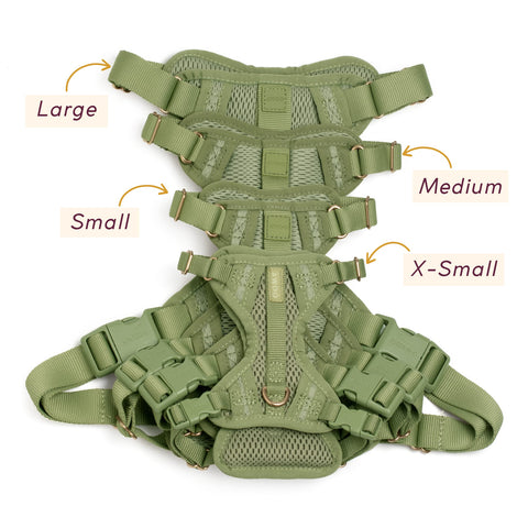 Huggie Harness
