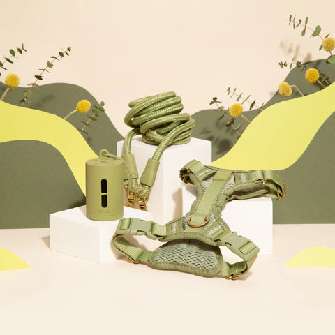 Going Green with Your Pup: 5 Easy Ways to Live a More Eco-Friendly Lifestyle