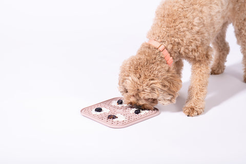 Benefits of Lick Mats for Both Dogs and Cats