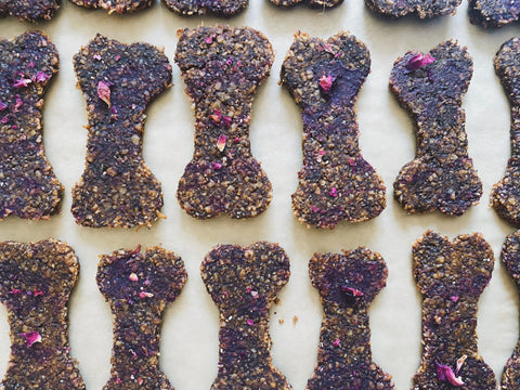 Dog+Me Treats Recipe: Healthy & Organic Treats for Your Canine Companion