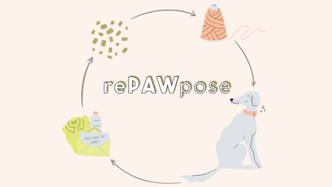 The rePAWpose Program: A New "Leash" on Life!