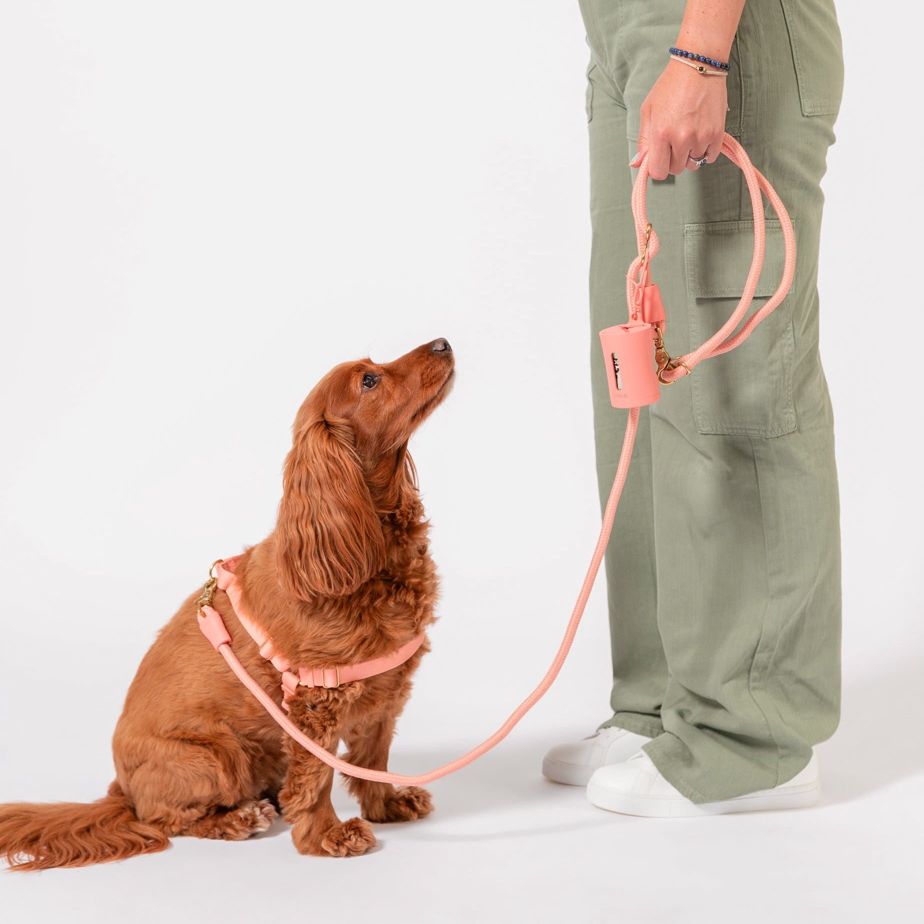 Walk Training – Awoo