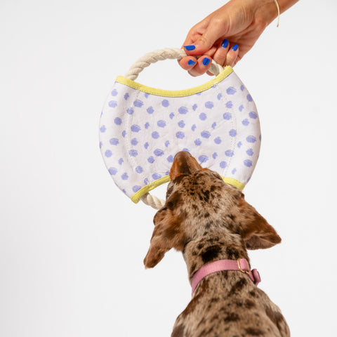 Dizzy Disc Canvas Frisbee