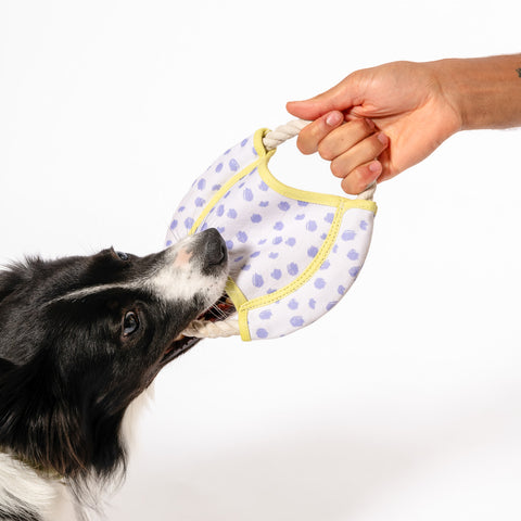 Dizzy Disc Canvas Frisbee