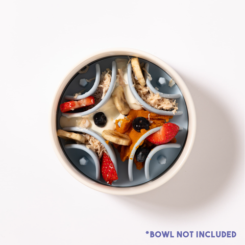 https://awoopets.com/cdn/shop/files/AWOOGOODVIBES_BOWLNOTINCLUDED-02.png?v=1699303976&width=480