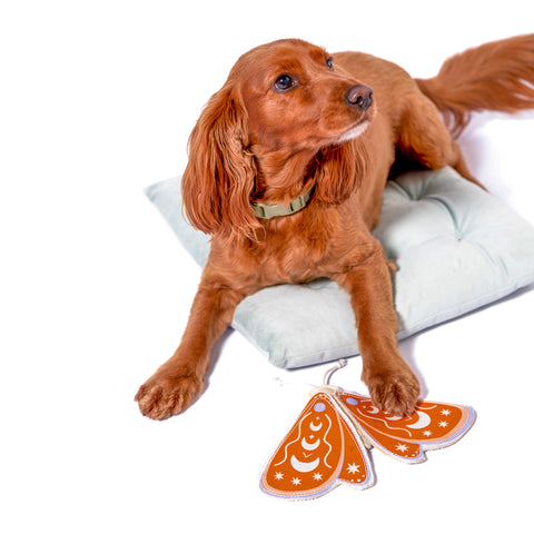 The Boredom Buster Bundle