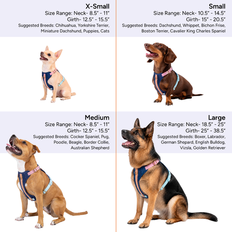 Huggie Harness