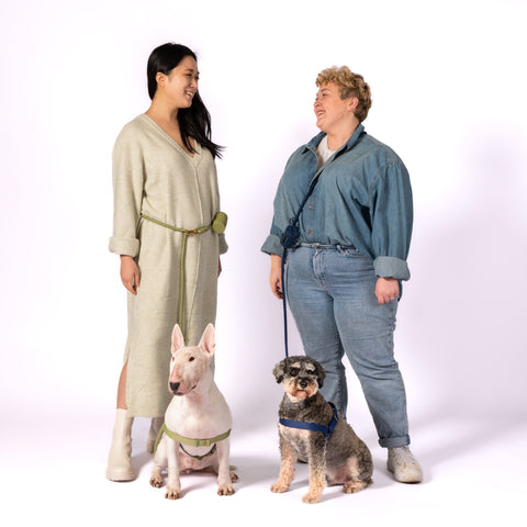 Ultimate Walk Set