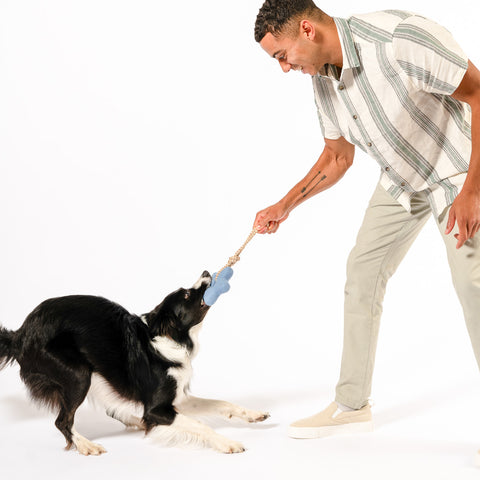 The All-Day Play Bundle