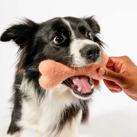 The Settle & Soothe Bundle