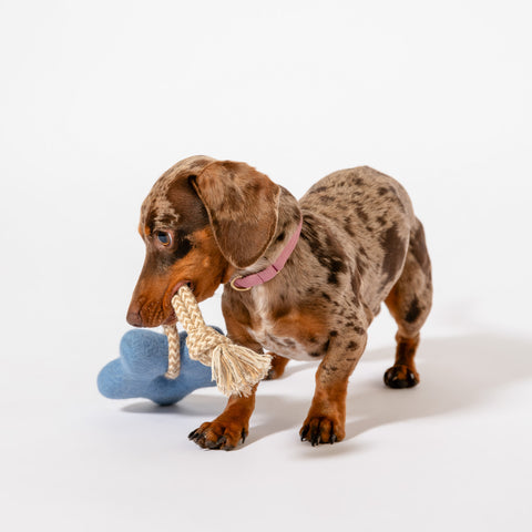 The All-Day Play Bundle