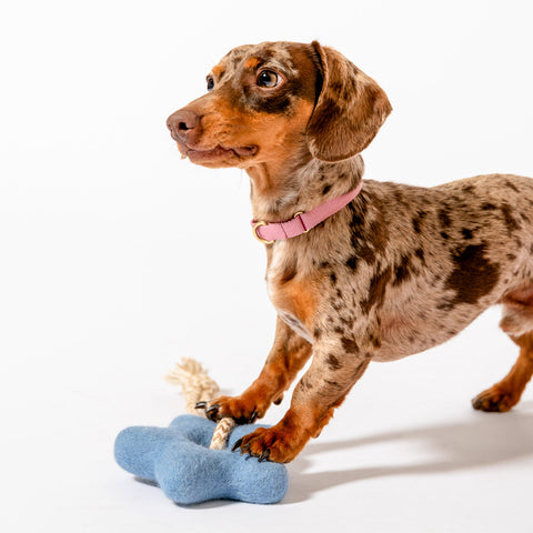 Comet's Tail Felt Toy