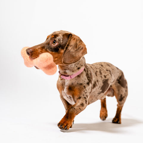 The All-Day Play Bundle