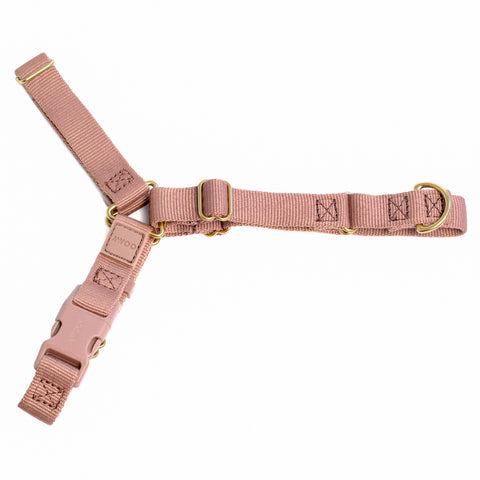 Roam Harness