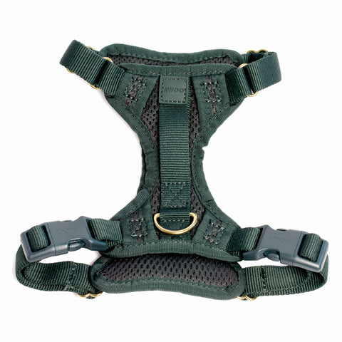 Huggie Harness