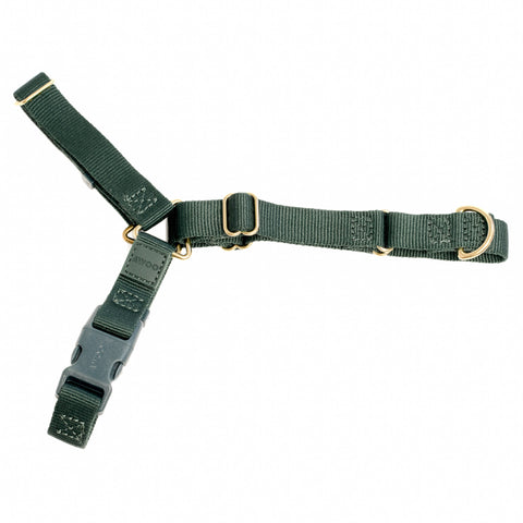 Roam Harness