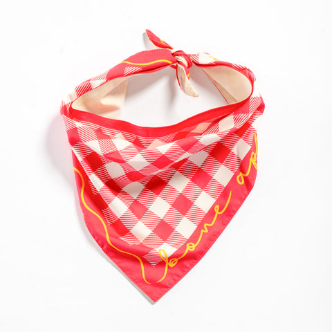 Bone Appétit Reversible Bandana