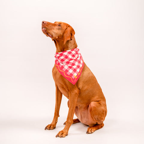 Bone Appétit Reversible Bandana
