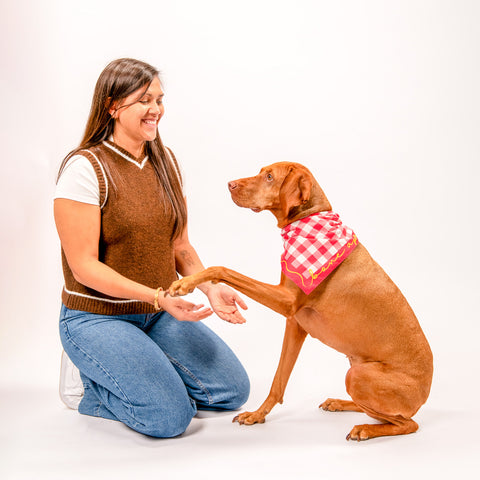 Bone Appétit Reversible Bandana