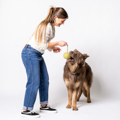 Pimento Olive Felt & Rope Tug Toy