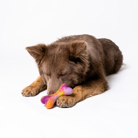 Bone Felt Wool Toy