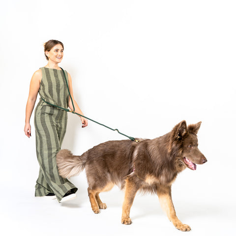 Ultimate Walk Set