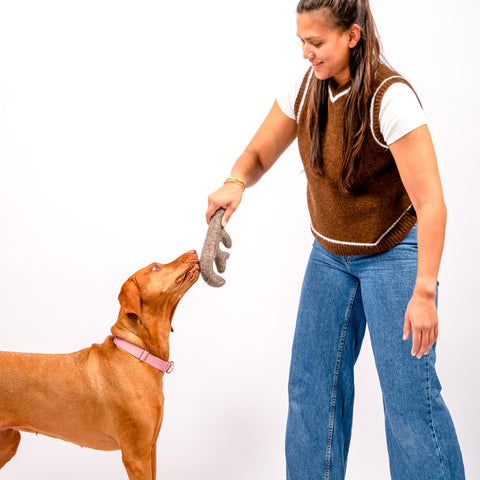 Antler Wool Felt Toy
