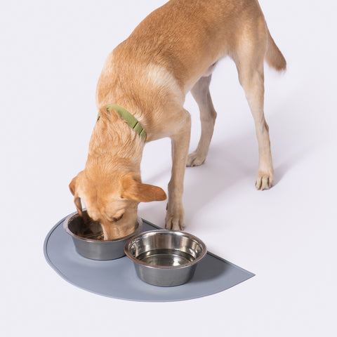FURever Splash Mats