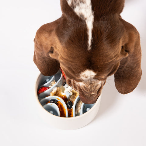 Awoo Good Vibes Silicone Bowl Insert Dog Feeding Mat - Sky Blue