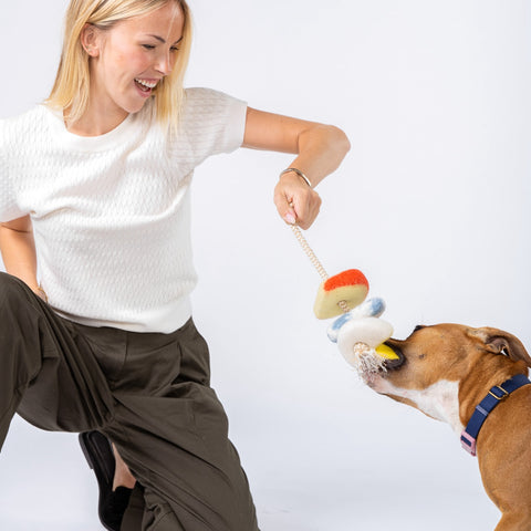Cheese on Rope Tug Toy