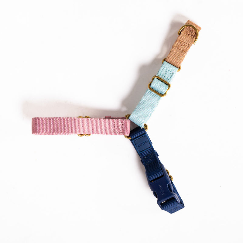 Roam Harness