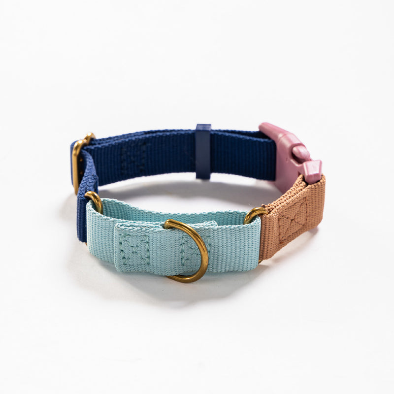 Marty Collar