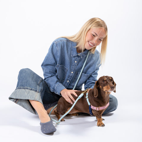 Roam Harness