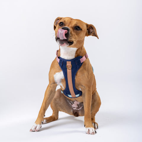 Huggie Harness