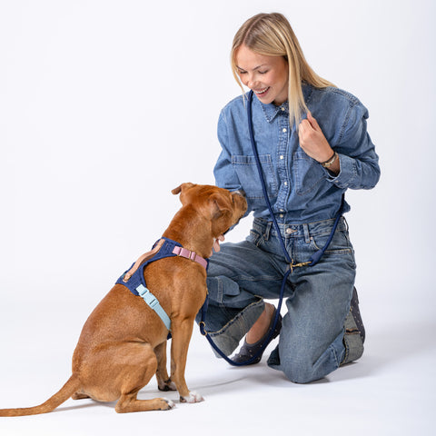 Huggie Harness