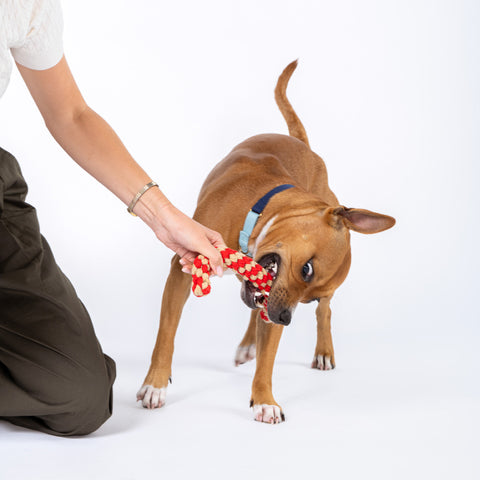 Candy Cane Cotton Rope Toy