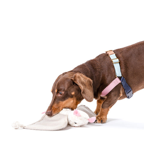 Luna the Bat Organic Cotton Snuffle Toy
