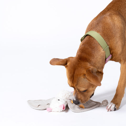 Luna the Bat Organic Cotton Snuffle Toy