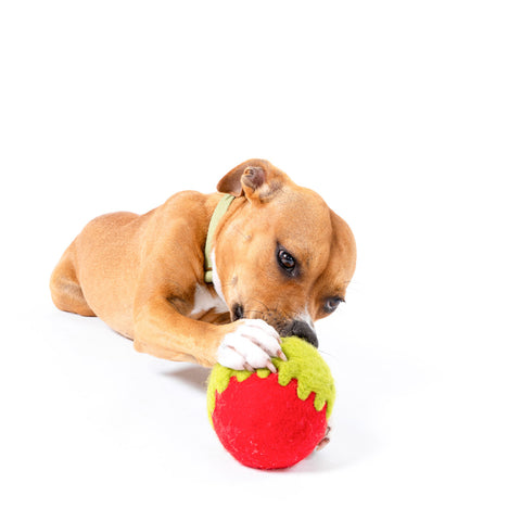 Poison Apple Felt Wool Toy